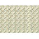 Tissue Paper cm69x49 27,66"x19,29” Eden