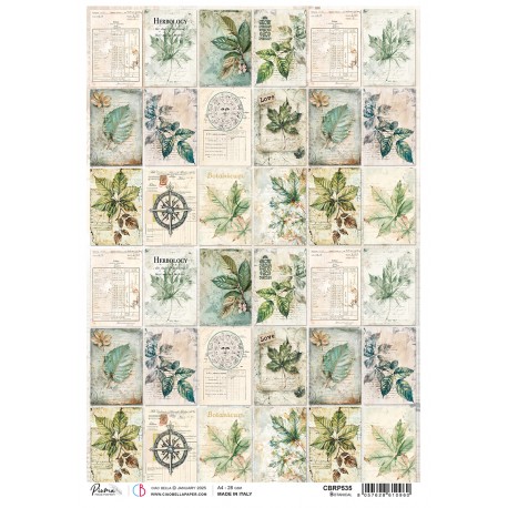 Rice Paper A4 Botanical