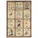 Rice Paper A4 MIXED 4/Pkg Cabinet of curiosites
