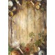 Rice Paper A5 MIXED 8/Pkg Cookbook