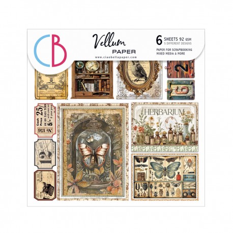 Vellum Cabinet of curiosities Fussy Cut 6"x6" 6/Pk