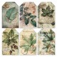 Vellum Cabinet of curiosities Fussy Cut 6"x6" 6/Pk
