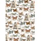 Vellum Cabinet of curiosities Paper Patterns A4 6/