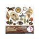 Cabinet of curiosities  Fussy Cut Pad 6"x6" 24/Pkg