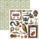 Cabinet of curiosities  Fussy Cut Pad 6"x6" 24/Pkg