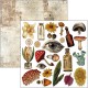 Cabinet of curiosities  Fussy Cut Pad 6"x6" 24/Pkg