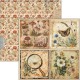 Cabinet of curiosities  Patterns Pad 12"x12" 8/Pkg