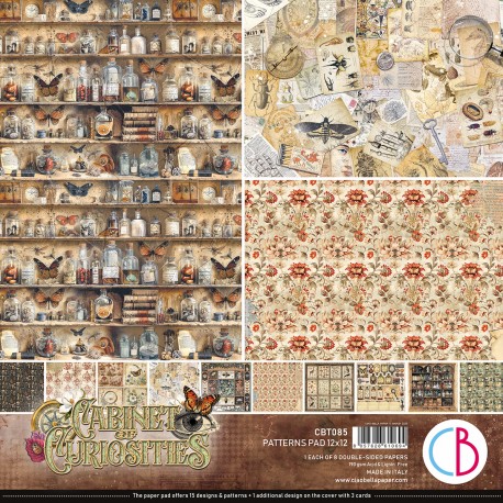 Cabinet of curiosities  Patterns Pad 12"x12" 8/Pkg