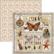 Cabinet of curiosities  Pad 8"x8" 12/Pkg