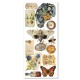 Cabinet of curiosities transparent adhesive sheets
