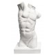 Torso masculino 13,5x22x5x17