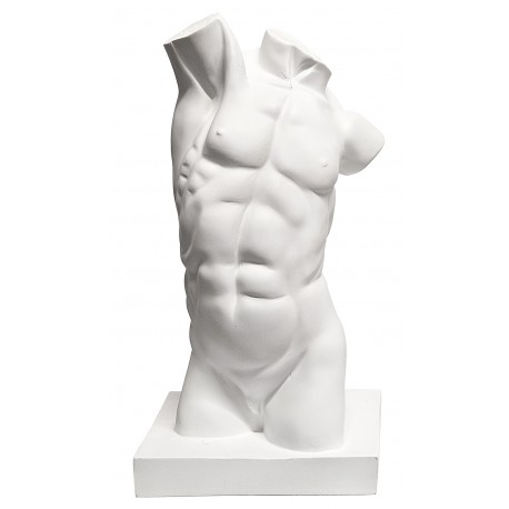 Torso masculino 13,5x22x5x17